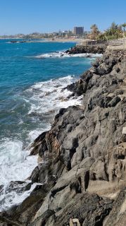 2024-01-Paseo_Costa_Canaria-San_Agustin-Ingles-066.jpg
